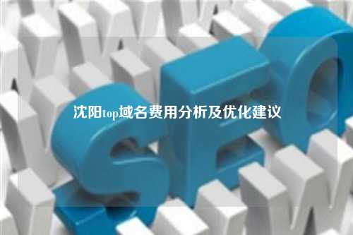 沈阳top域名费用分析及优化建议