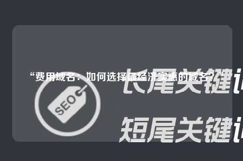 “费用域名：如何选择最经济实惠的域名？”